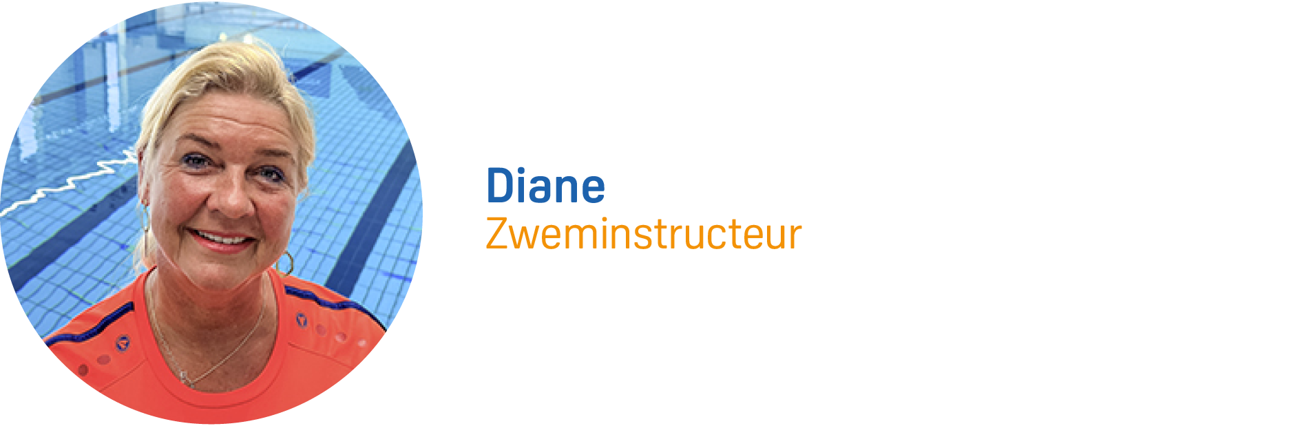 Diane Visite.png